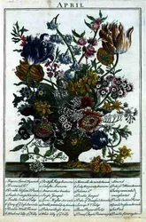 Huhtikuussa Kukkapuutarhasta Esittelijä Robert Furber (n. 1674-1756), kaiverrus James Smith, pub. 1732 (katso myös 11109)